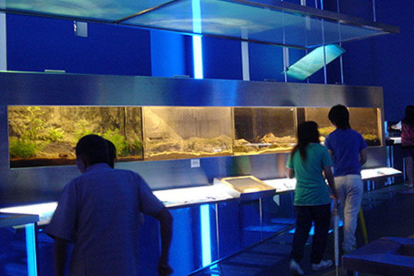 Exhibition lighting